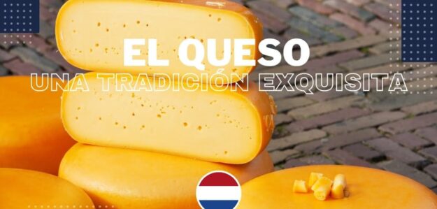 Tienda de Queso Exquisita