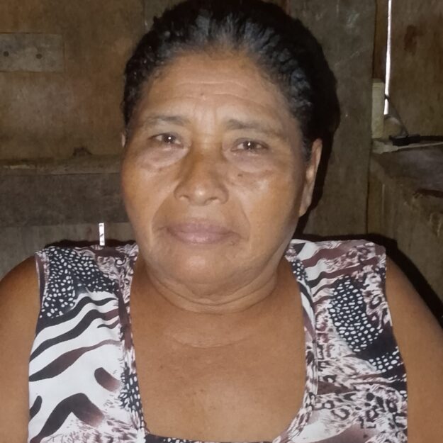 Variedades margarita