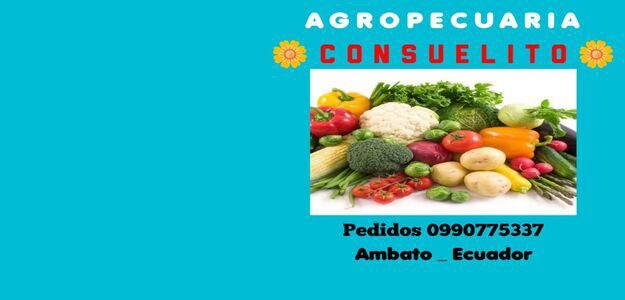 Agro CONSUELITO