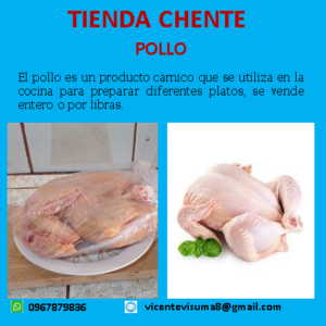 Pollo