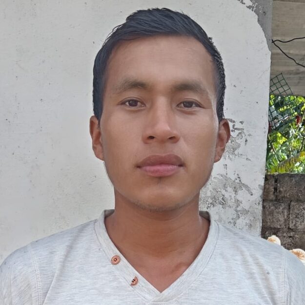 Venta pollos camperos