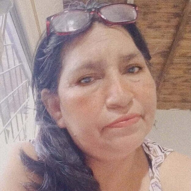 Venta de pollos criollos