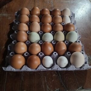 Cubeta de huevos criollos