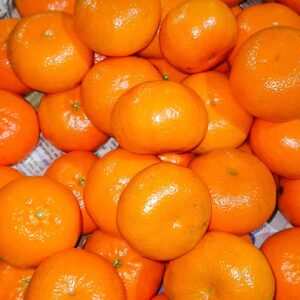 Las mejores naranjas