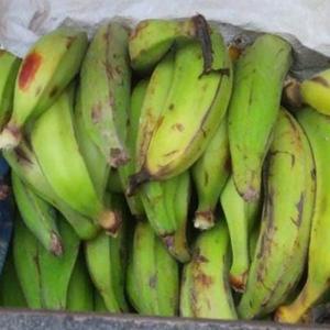 Plátano garrabanete