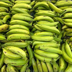 Plátano barraganete