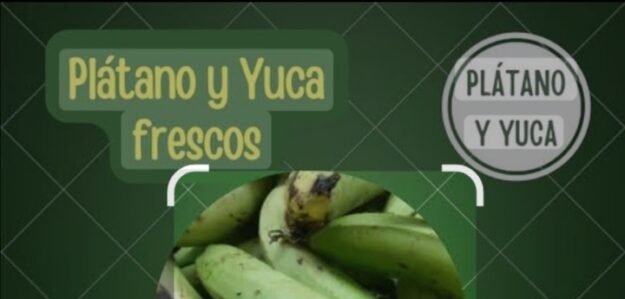 Tienda de Agrícolas