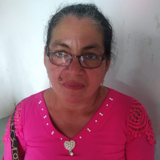 Venta de pollos crillos