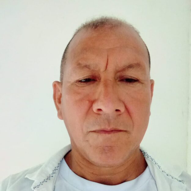 Venta de pollos criollos