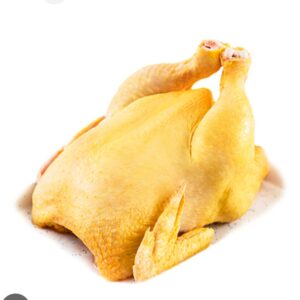 NEGOCIO DE POLLOS CAMPERO