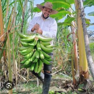 VENTA DE PRODUCTOS AGRICULAS