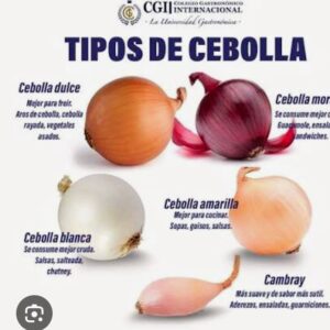 NEGOCIO PRODUCTO AGRICULA