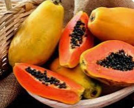 neg0cio de papaya