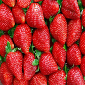 Fresas organicas