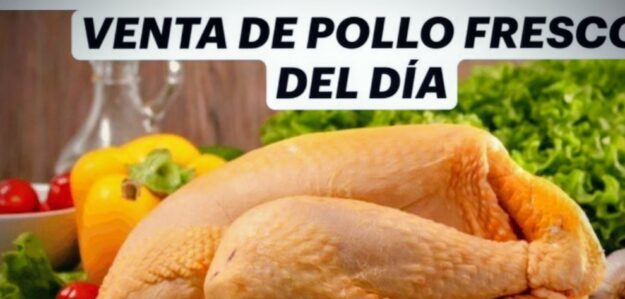 NEGOCIO DE POLLOS CAMPERO