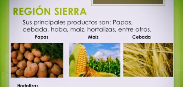 NEGOCIO PRODUCTO AGRICULA