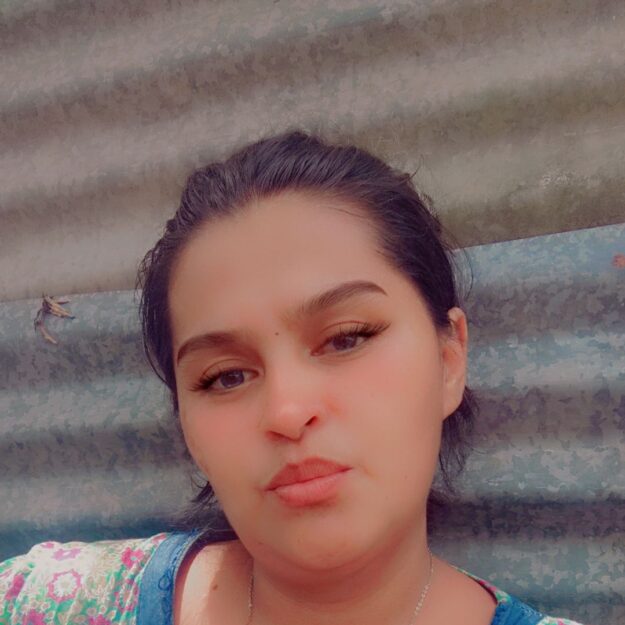 NEGOCIO DE POLLOS CAMPERO