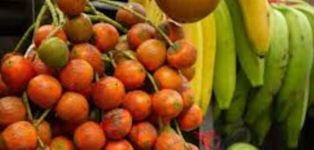 SABOR ORGANICO AMAZONICO