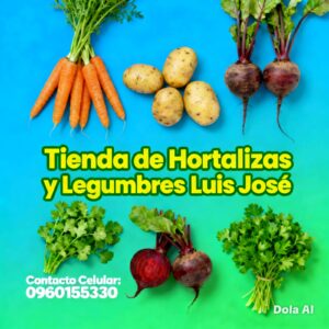 HORTALIZAS DE PRIMERA ORGANICAS