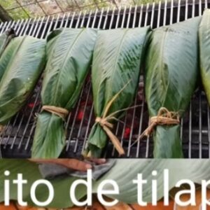 Maito de tilapia