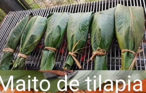 Negocio maito en la amazonia