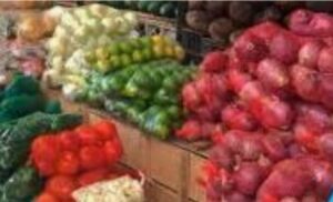 Hortalizas organicos