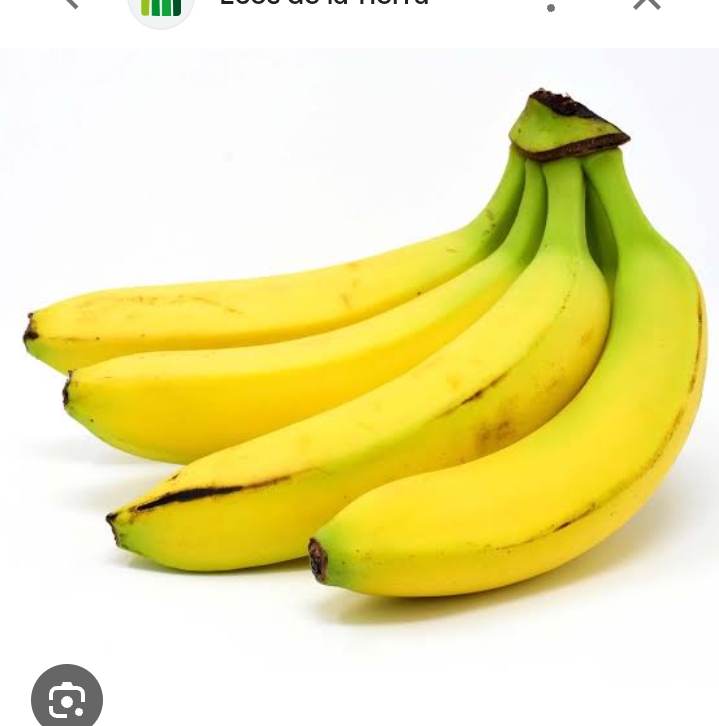 Platanos