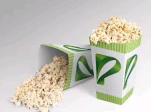 EMPRENDIMIENTO DE CANGUIL