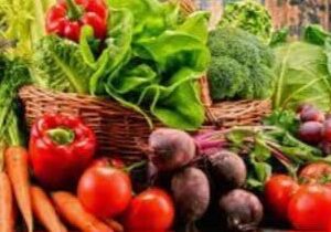 hortalizas orgánicos