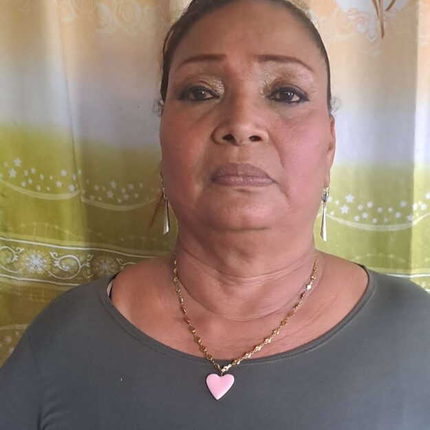 Negocio Comedor D" Liliana