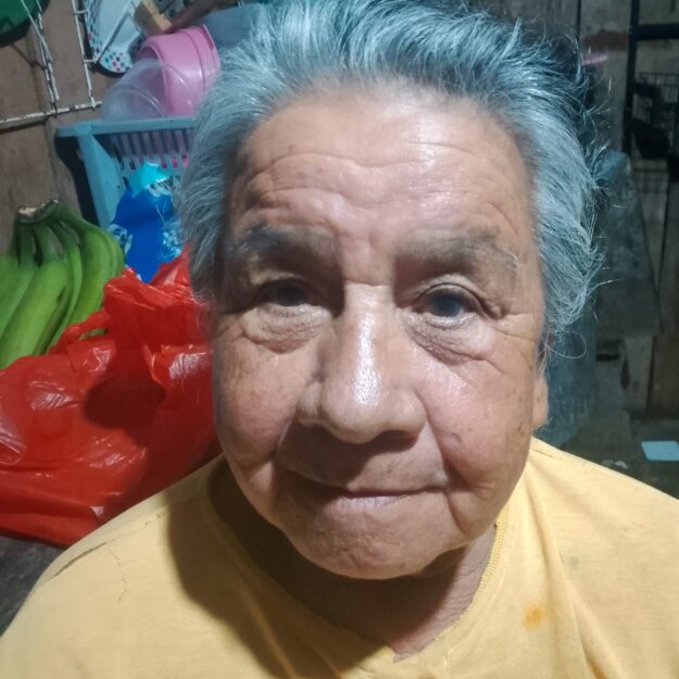 NEGOCIO DE VERDURAS TULIA