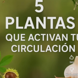 inflamación estreñimiento y fiebres