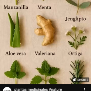 Tratamiento para gastritis