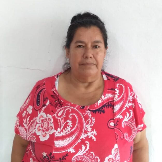 Emprendimiento de chanchos