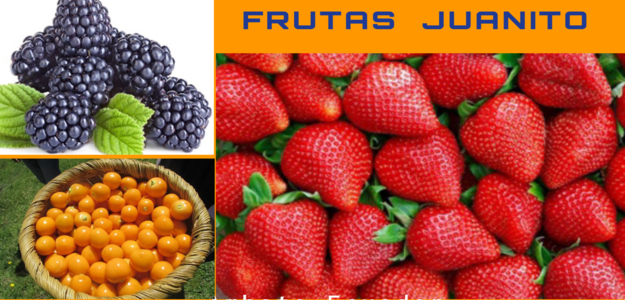 Frutas JUANITO