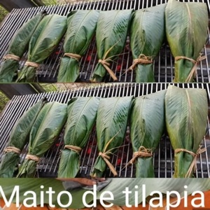Maito de tilapia