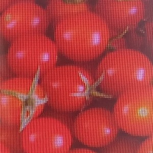 Tomate