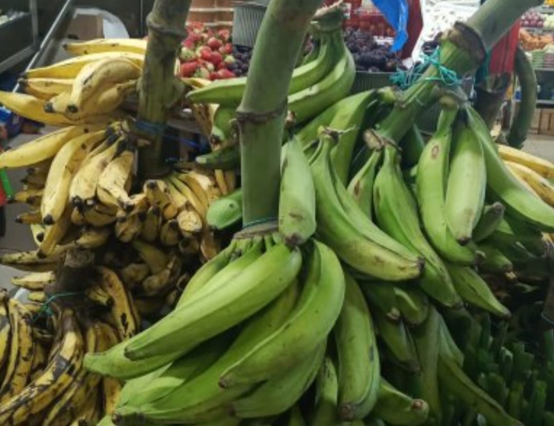 Tienda de legumbres D'Maria - Image 9