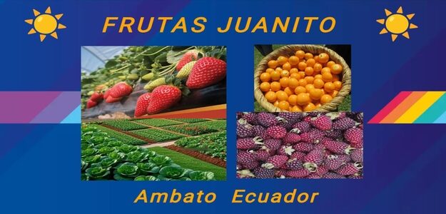Frutas JUANITO