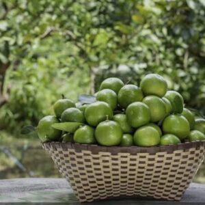 Limones por ciento