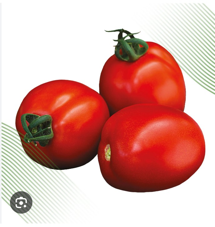 Tomate