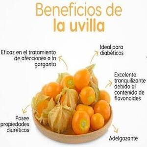 Uvilla Orgánica
