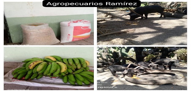 Agropecuarios Ramirez