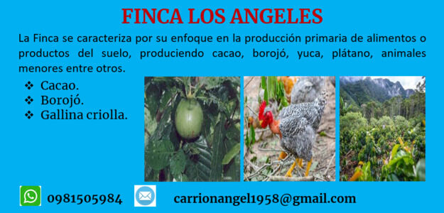 Finca Los Angeles