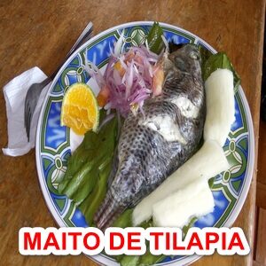 Maito de tilapia