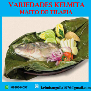 Maito de Tilapia