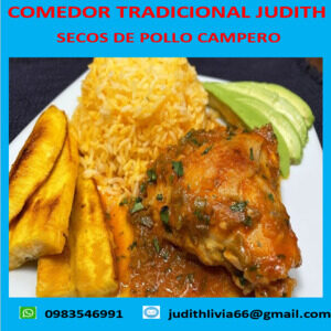 Seco de pollo campero