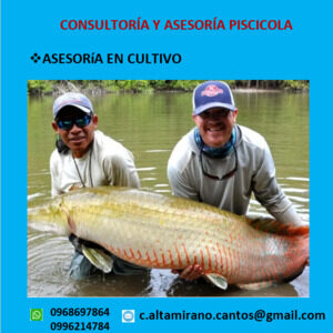Asesoramiento Cultivo
