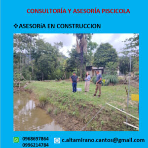 Asesoramiento Construcción