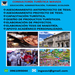 Consultoría Turística WAVIZA